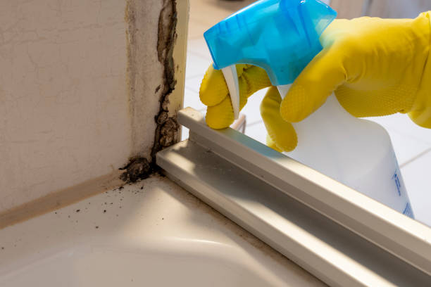 Best Toxic Mold Removal  in Cottage Grove, OR